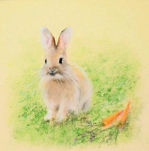 色鉛筆 お部屋にアートを飾るなら Conte